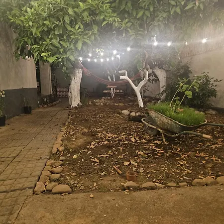 Lemon House * Tirana