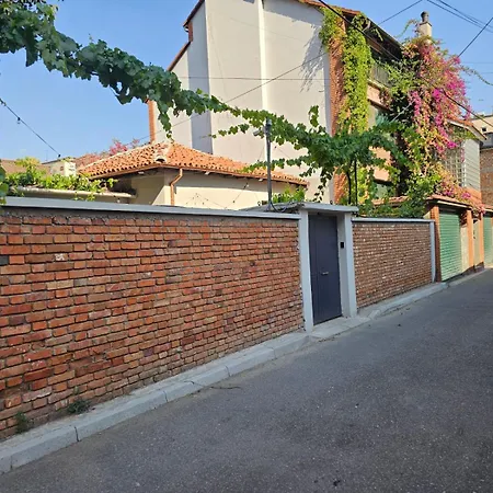 Lemon House Auberge de jeunesse