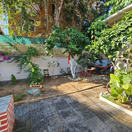 Lemon House Auberge de jeunesse *