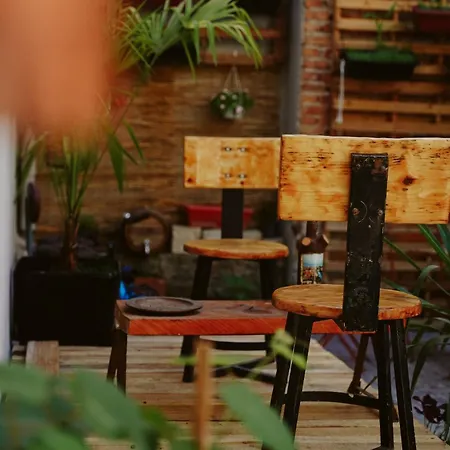 Auberge de jeunesse Lemon House