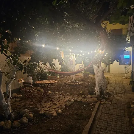 Lemon House 旅馆 地拉那