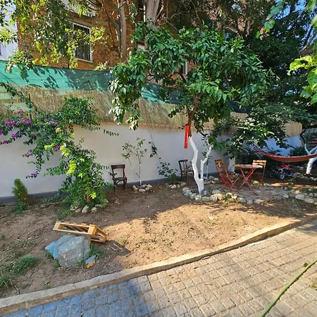 Lemon House * Tirana