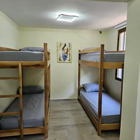 Hostel Lemon House Tirana